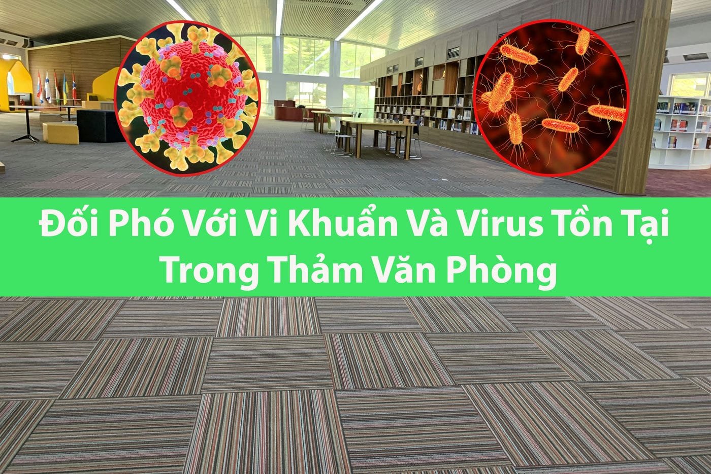 doi-pho-vi-khuan-virus-tren-tham-van-phong