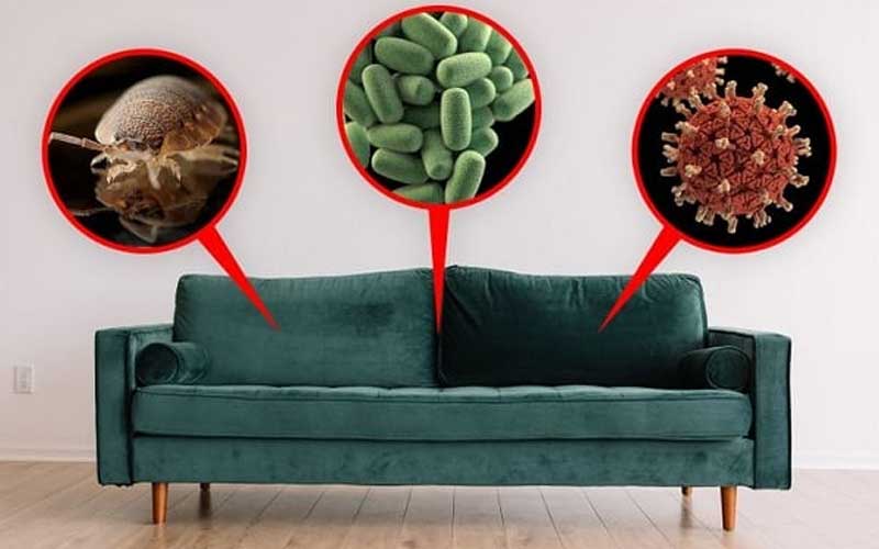 Ghế sofa bẩn sẽ đem lại hậu quả gì?